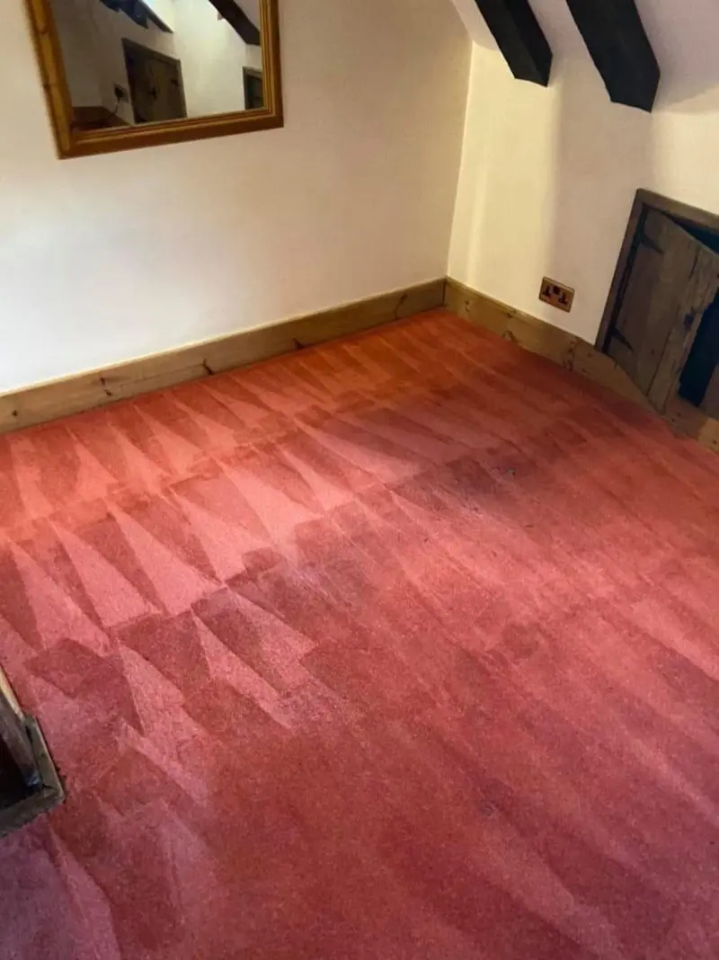 Carpet Stain Removal - MD & CO Carpet Cleaning project
