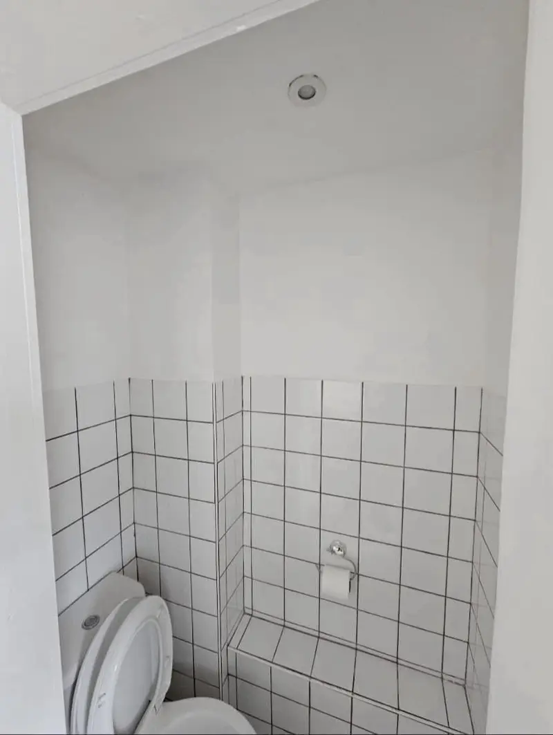 Painting and Decorating - MD & CO Painting project