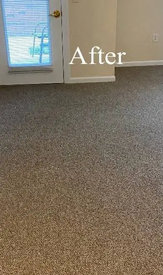 Deep carpet stain removal - After