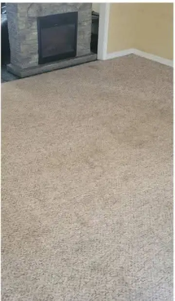 Professional carpet cleaning - After