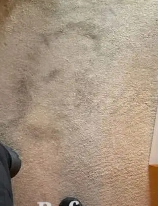 Carpet restoration cleaning - Before