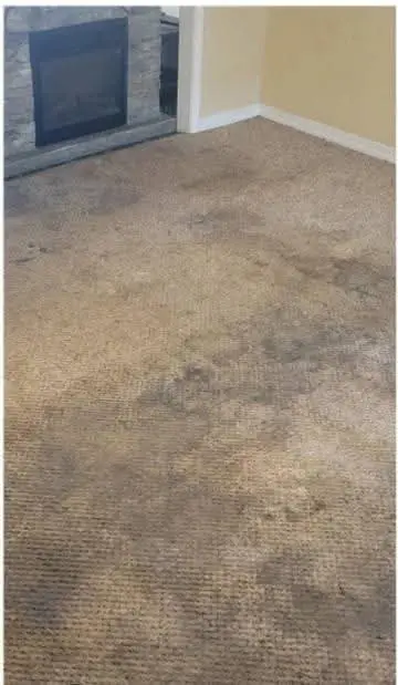Professional carpet cleaning - Before